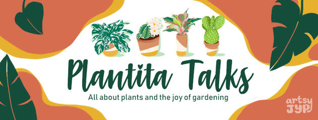 Plantita Talks
